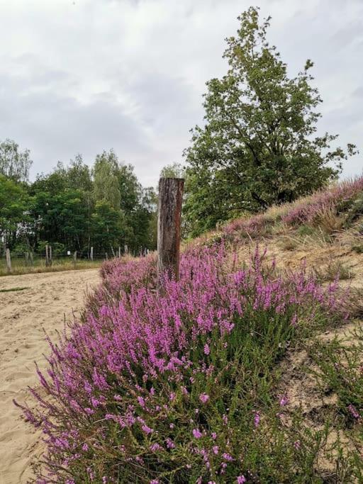 Fewo "Am Bienenstock" In Dallgow-Doberitz Εξωτερικό φωτογραφία